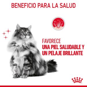 Royal Canin Cat Hair Y Skin Care 400 g