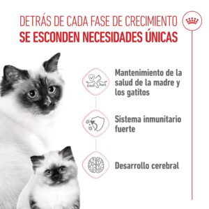 Royal Canin Cat Mother Y Babycat Leche 300 g
