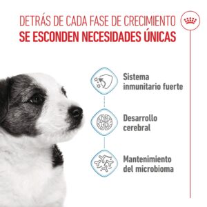 Royal Canin Dog Mini Puppy 8 kg