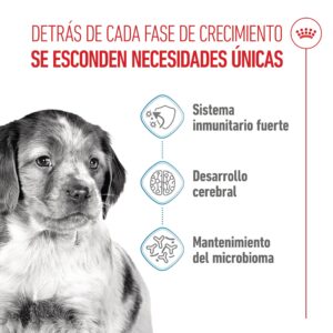Royal Canin Dog Medium Puppy 4 kg