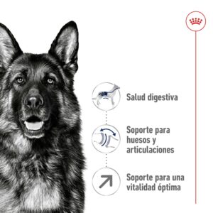 Royal Canin Dog Maxi Ageing+8 15 kg
