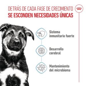 Royal Canin Dog Maxi Puppy 4 kg