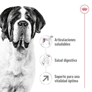 Royal Canin Dog Giant Adult 15 kg