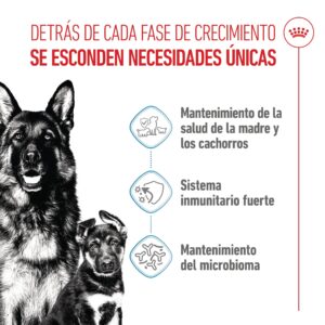 Royal Canin Dog Maxi Starter 15 kg