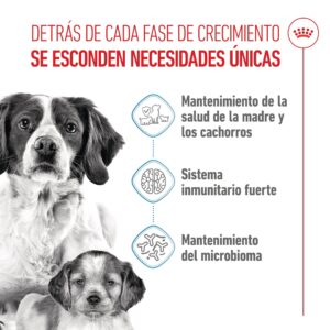 Royal Canin Dog Medium Starter 15 kg