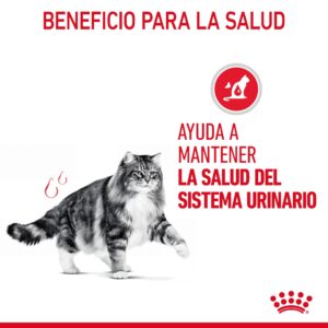 Royal Canin Cat Urinary So 7 kg Dieta