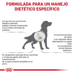 Royal Canin Dog Hepatic 12 kg Dieta