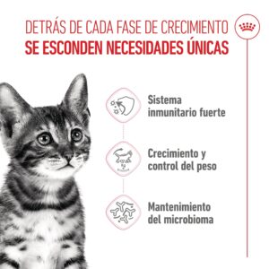 Royal Canin Cat Kitten Sterilised 400 g