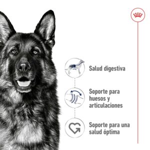 Royal Canin Dog Maxi Adult 10 kg