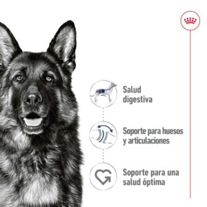 Royal Canin Dog Lata Maxi Adult 410 g