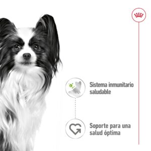 Royal Canin Sobres Dog Xsmall Adult 85 g