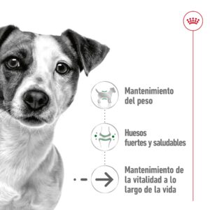 Royal Canin Lata Dog Mini Ageing 195 g