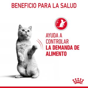 Royal Canin Cat Lata Appetit Control Care Mousse 85 g
