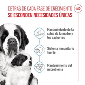 Royal Canin Dog Giant Starter 15 kg