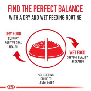 Royal Canin Cat Indoor 2 kg