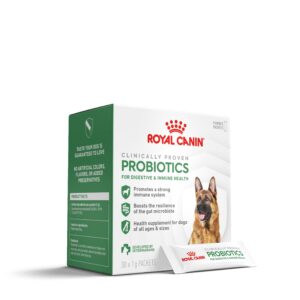 Royal Canin Dog Gastrointestinal Small Low Fat 8 kg Dieta